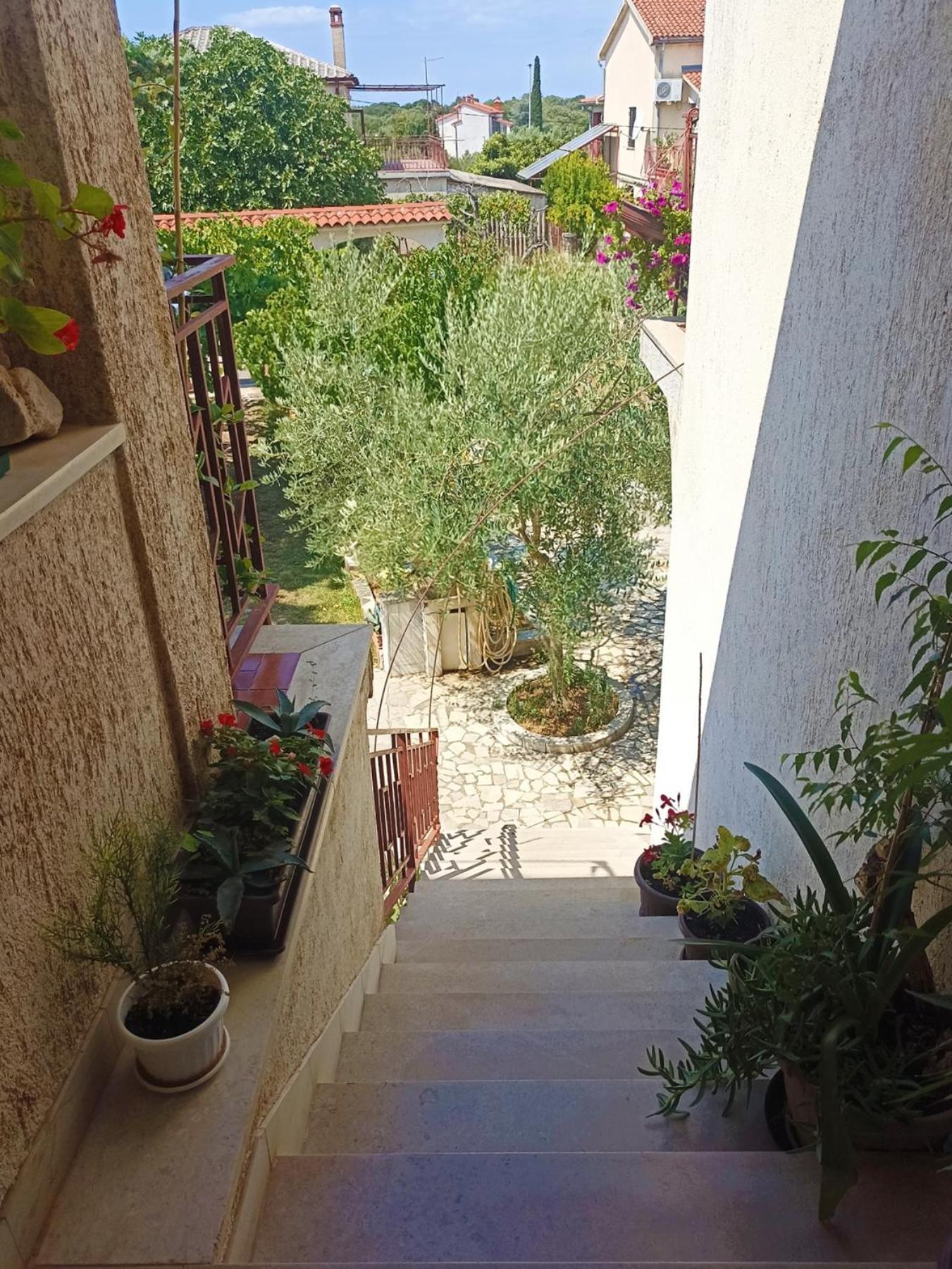 Apartments Villa Laura Pula Ngoại thất bức ảnh