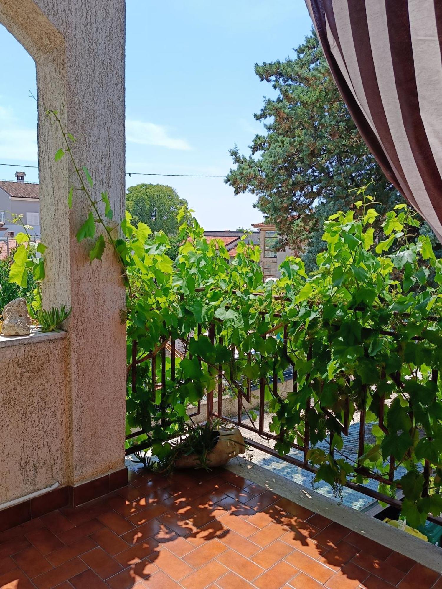 Apartments Villa Laura Pula Ngoại thất bức ảnh