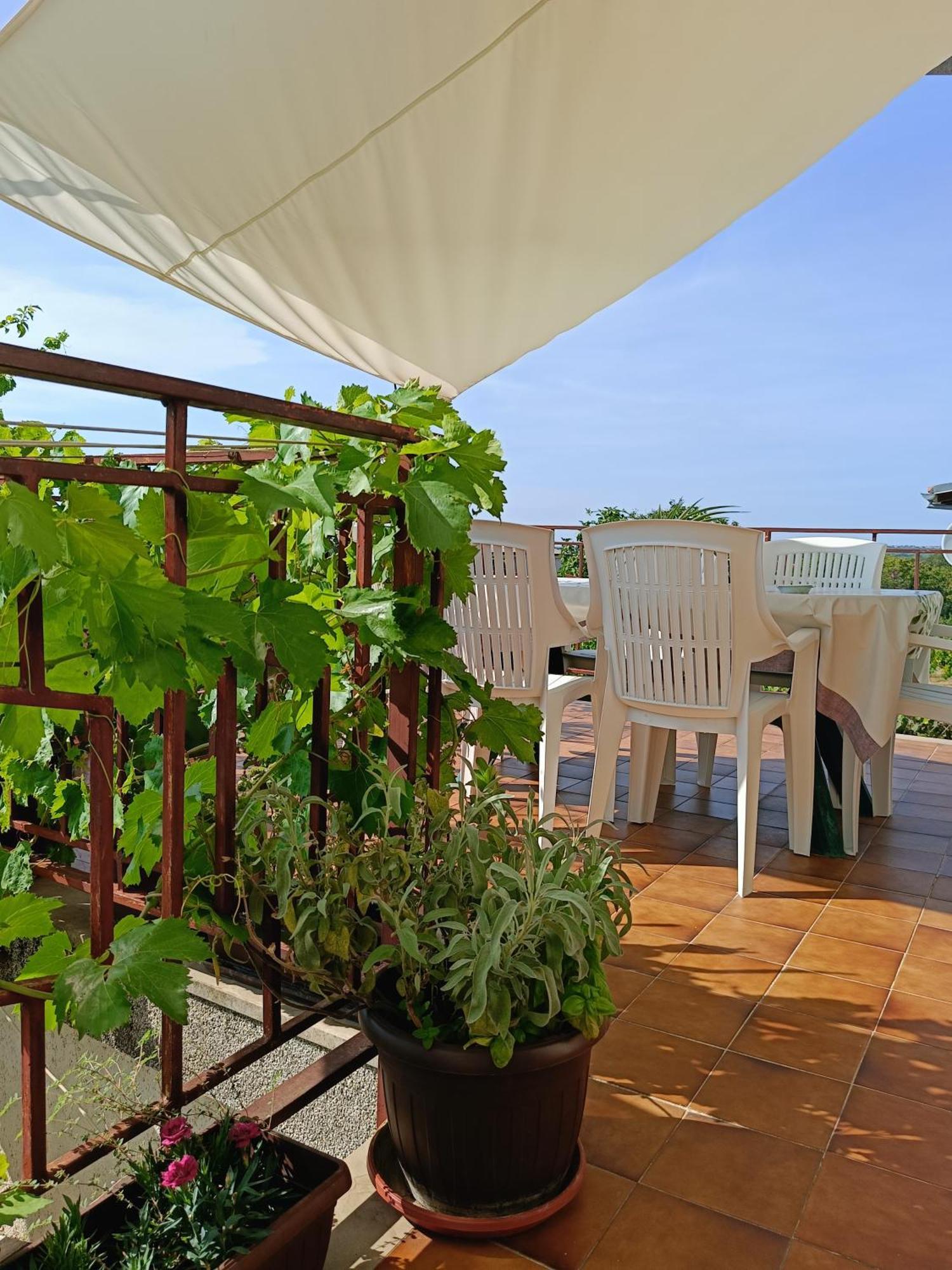 Apartments Villa Laura Pula Ngoại thất bức ảnh