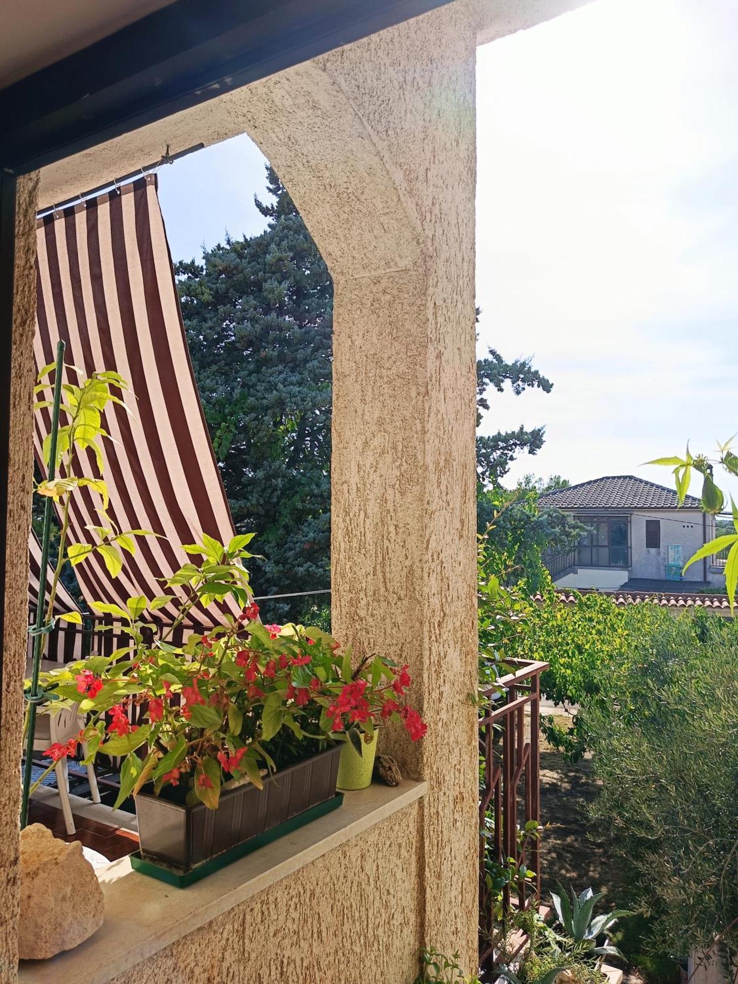 Apartments Villa Laura Pula Ngoại thất bức ảnh